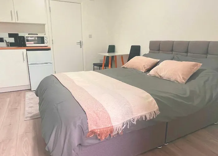 Studio Flat Private Bathroom Wc And Kitchenette